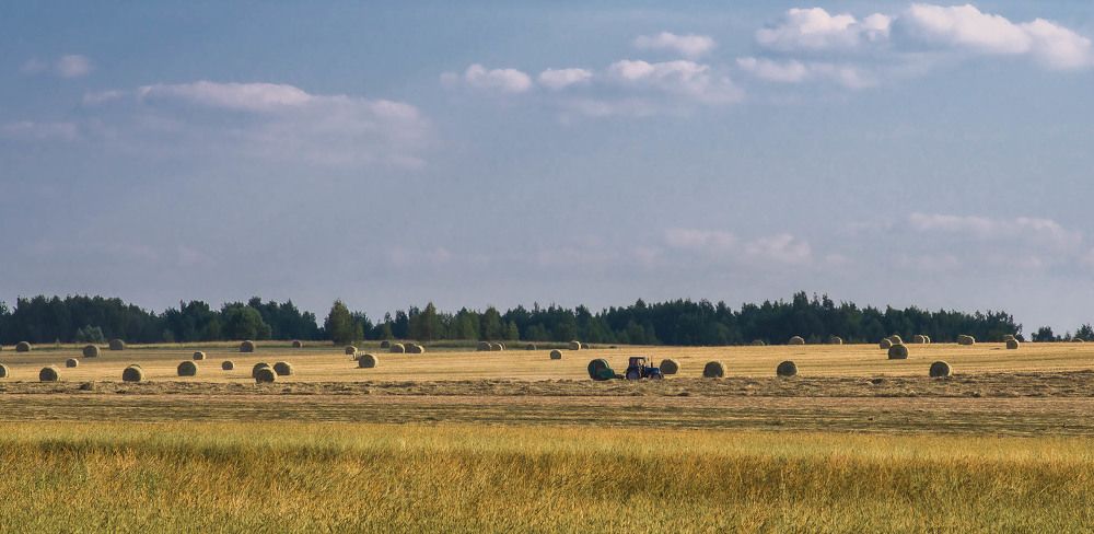 Photograph by Дмитрий Седов