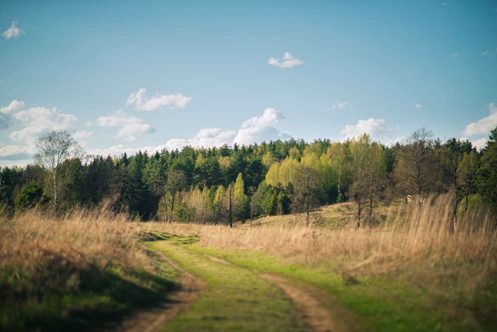 Photograph by Дмитрий Седов