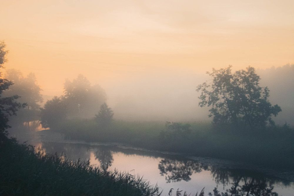 Photograph by Дмитрий Седов