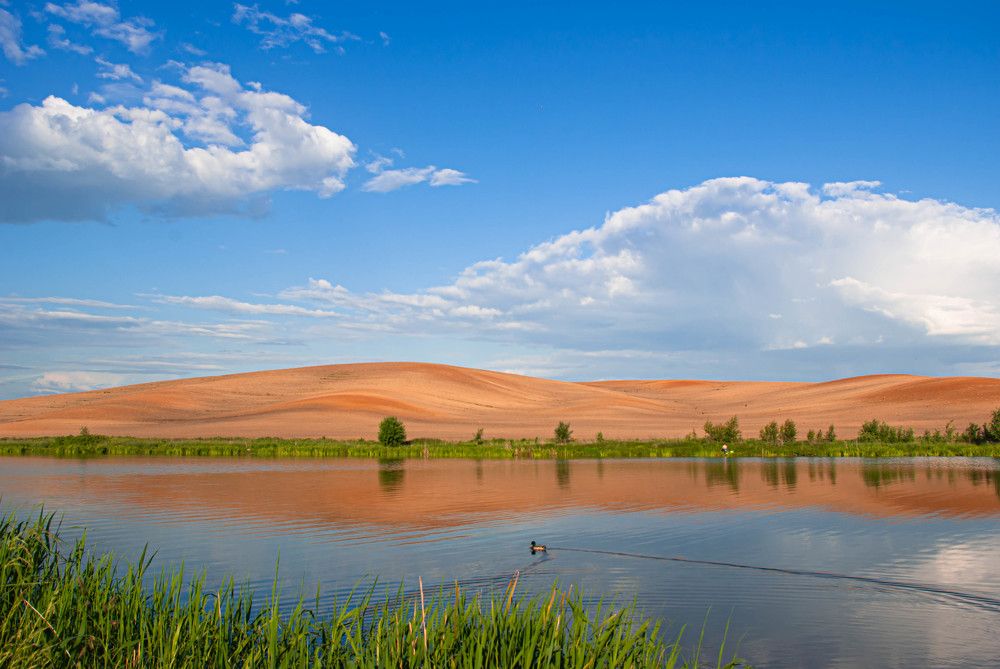 Photograph by Диана Бородзе