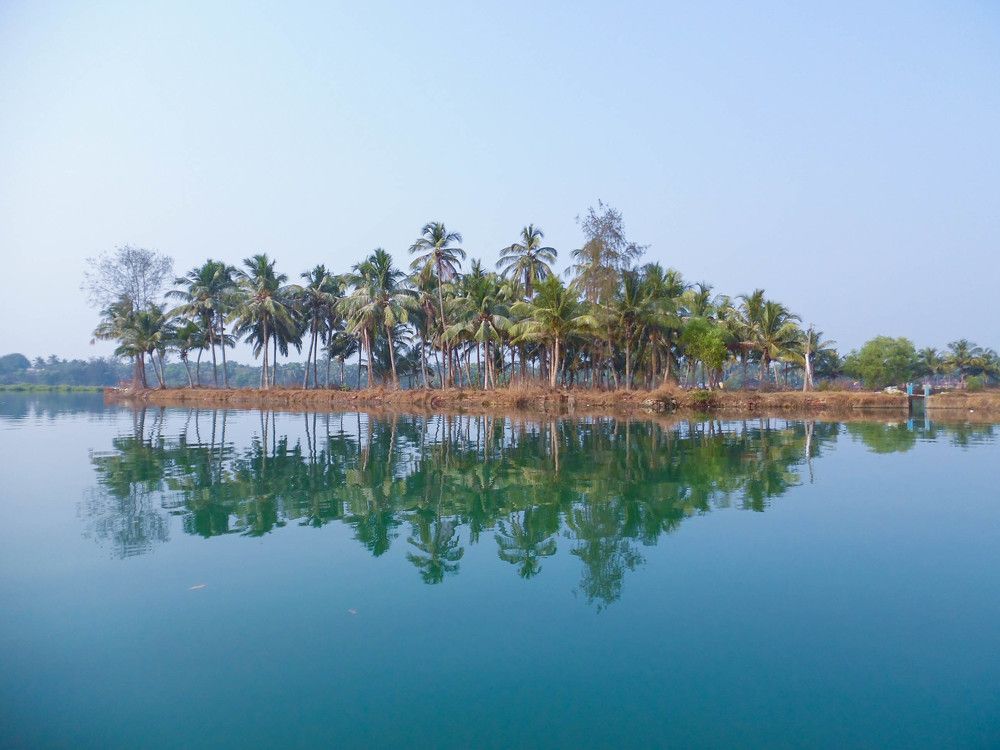 Утро на реке Сал