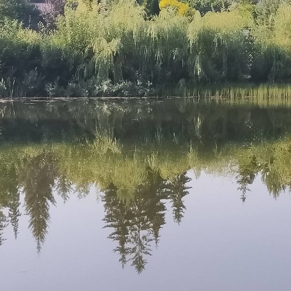 Photograph by Михаил Куракин