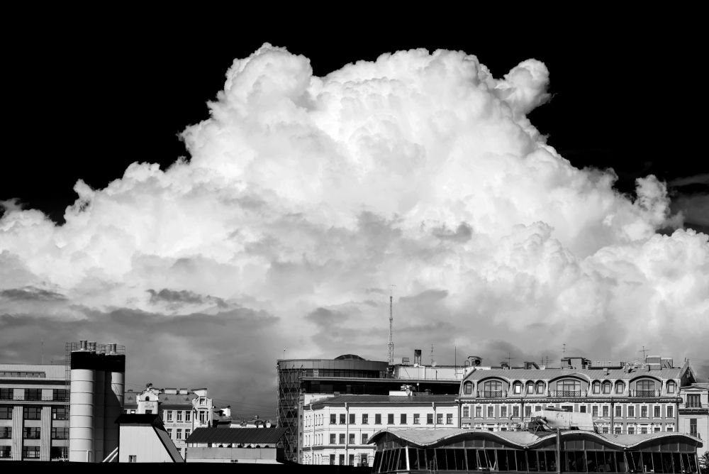 Чёрно-белое лето Петербурга