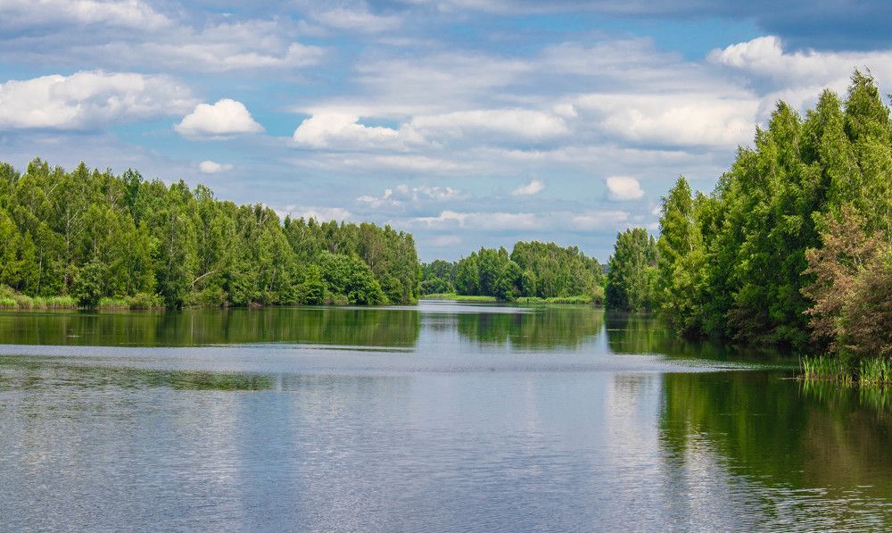 Фотография автора Екатерина Счасная