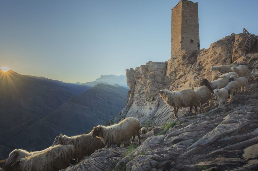 Предзакатная тишина.