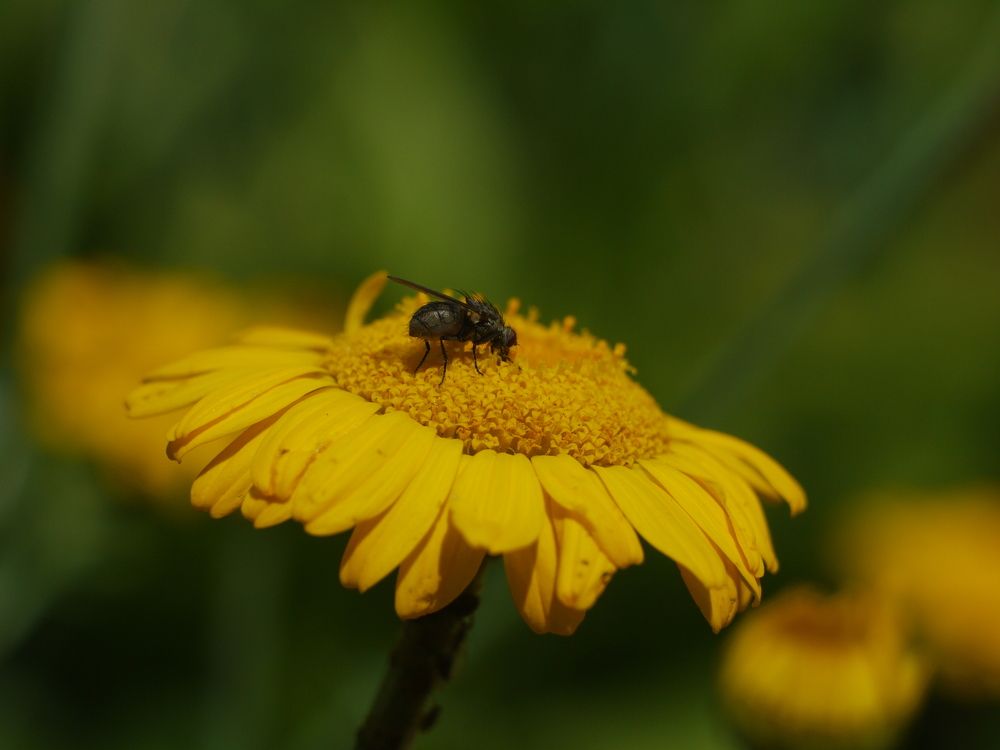 Photograph by Иван Скрипкин