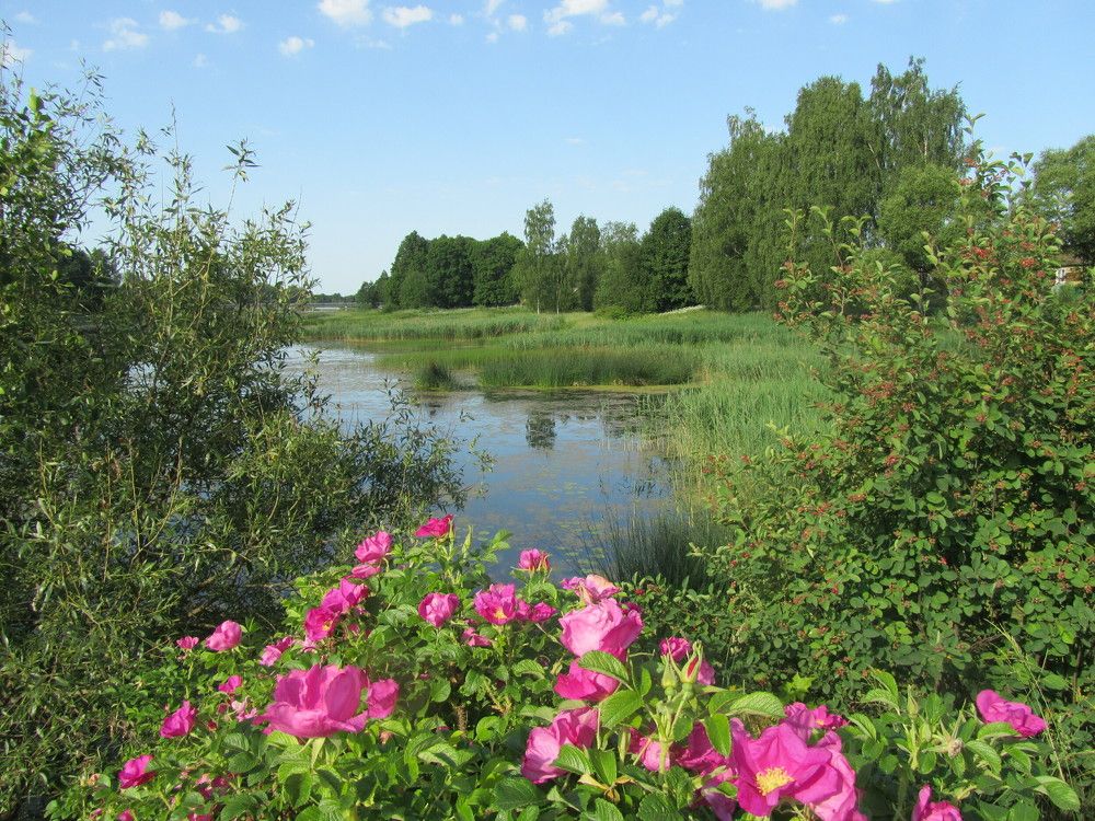 Photograph by Наталья Балан