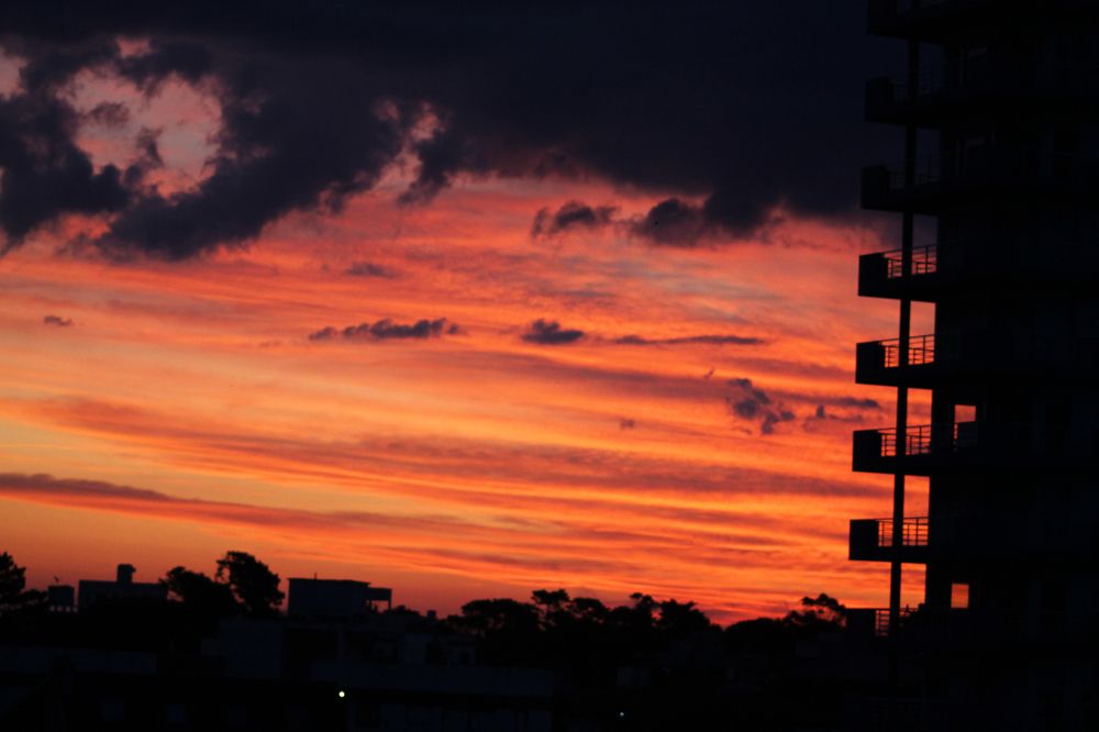 Фотография автора César Carrion