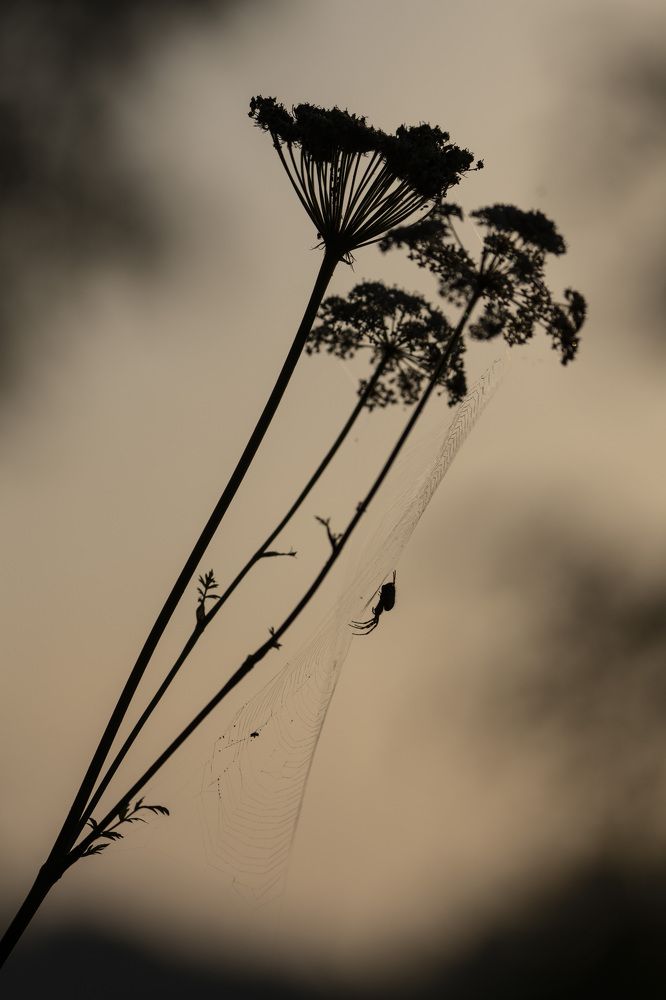 Photograph by Юрий Чернов