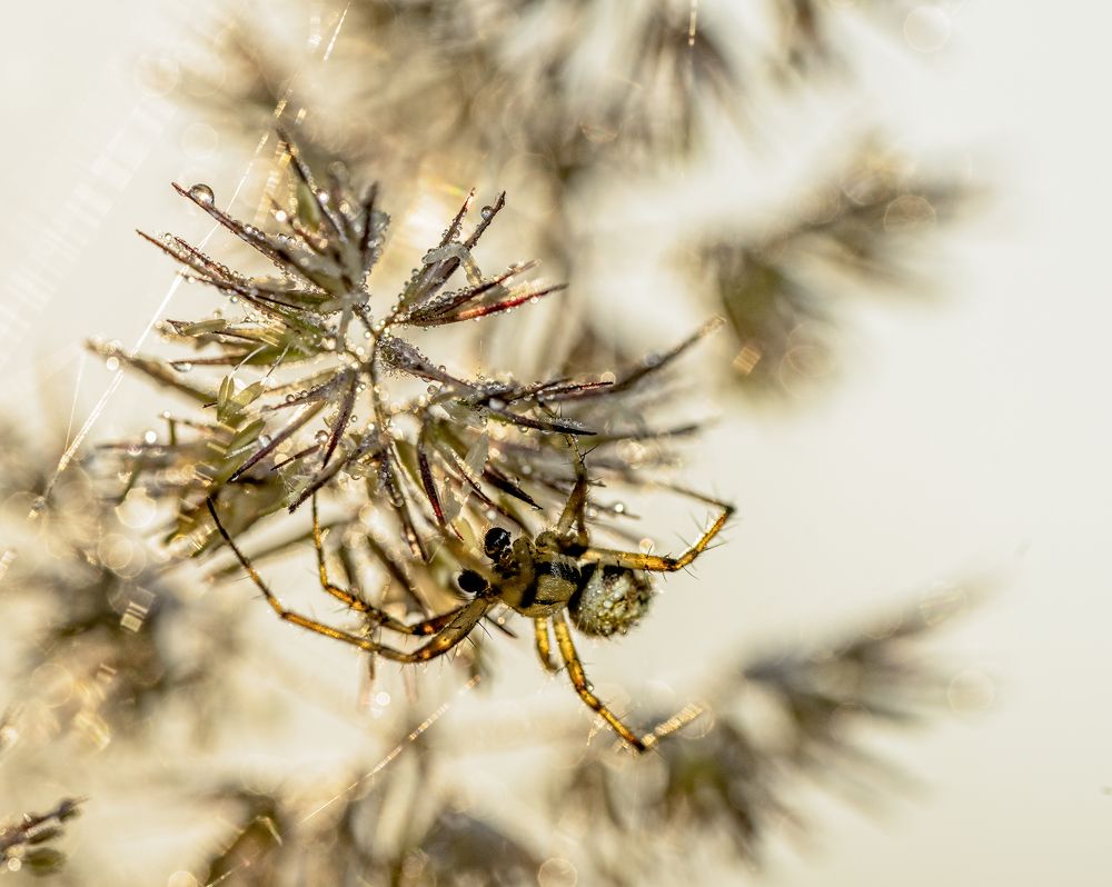 Photograph by Юрий Чернов