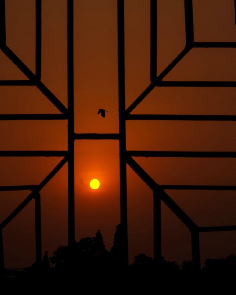 Photograph by Shampa Bhowmik