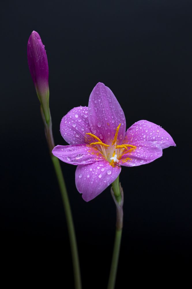 Photograph by Олег Тетерин