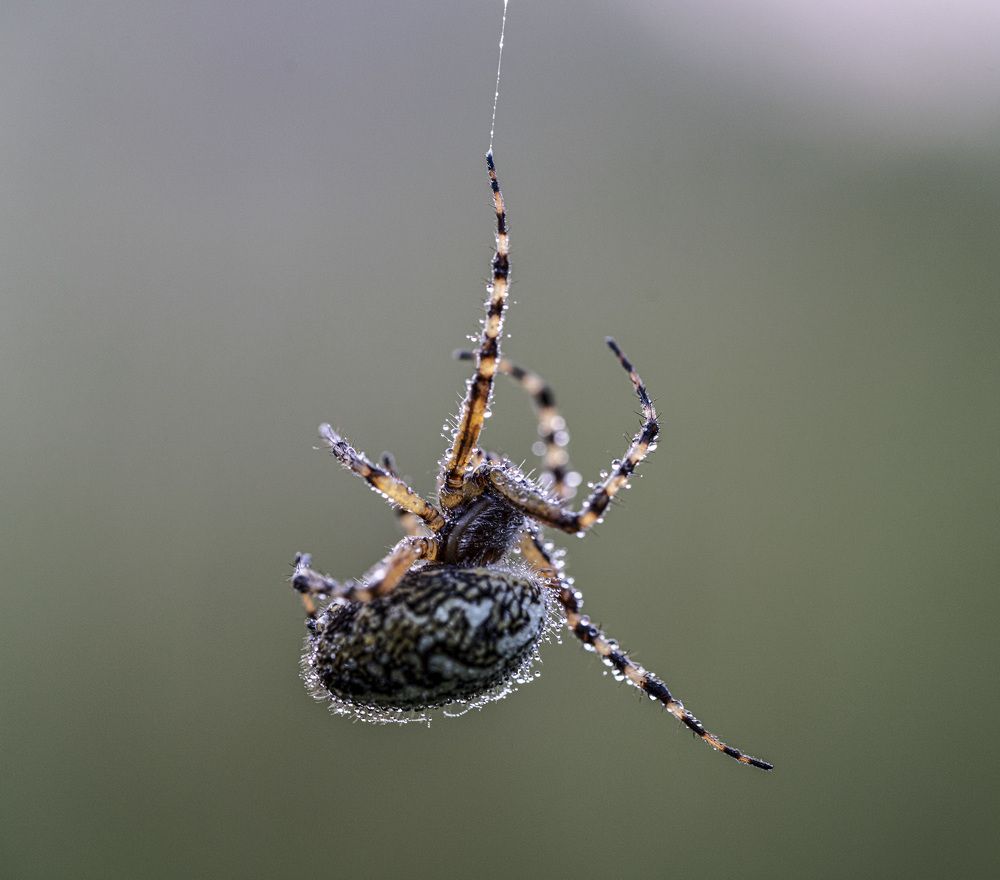 Photograph by Юрий Чернов