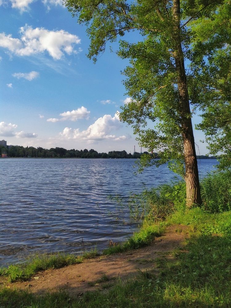 Северский Донец. Белгород.