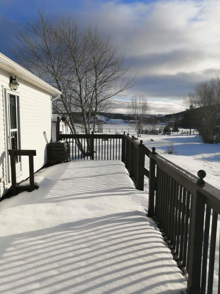 Winter back home in Newfoundland