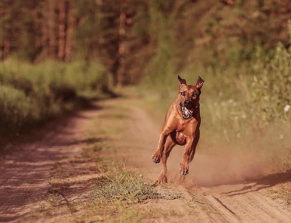 Photograph by Татьяна Морозова