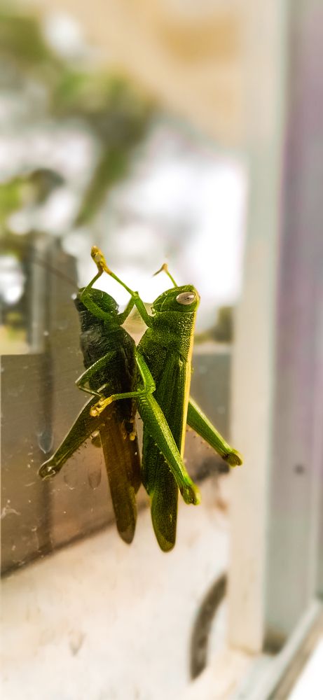 Photograph by Vikraman Velusamy