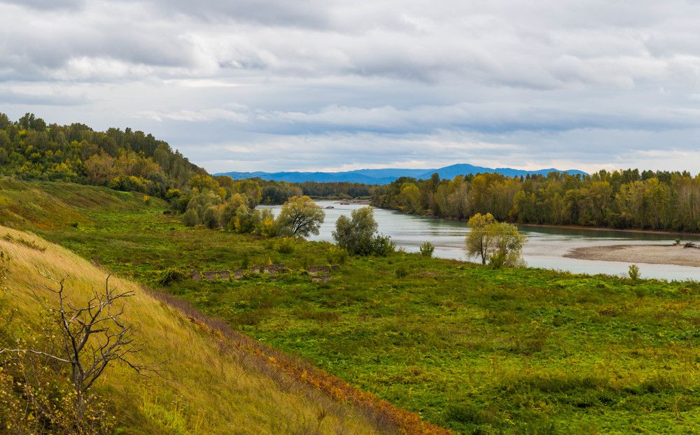 река Катунь