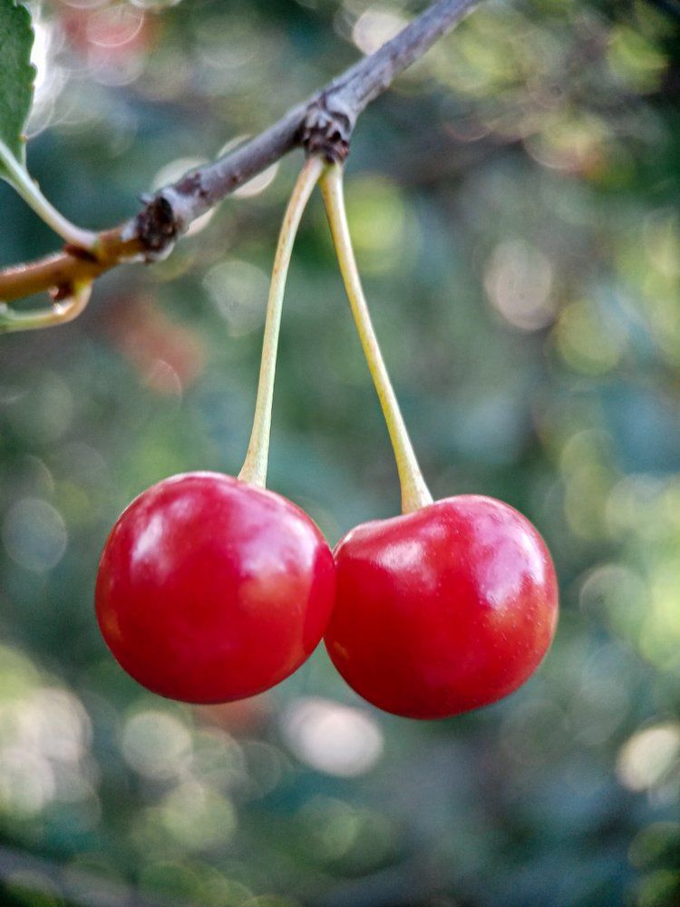 Photograph by Светлана Хамитова