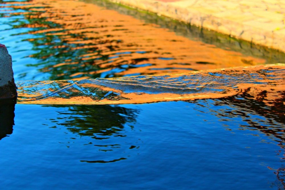 Фотография автора Ия (Левина) Энгельгардт