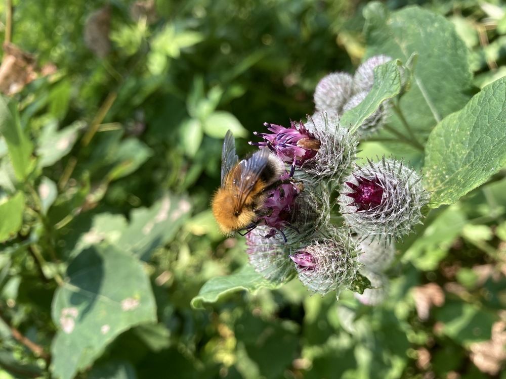 Photograph by Александр Феоктистов