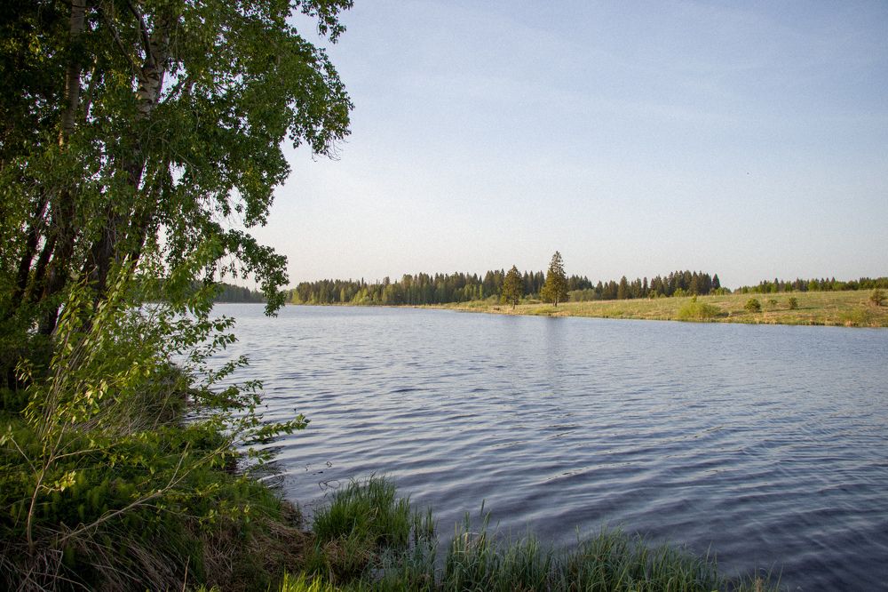 Photograph by Nikita Oshvintsev