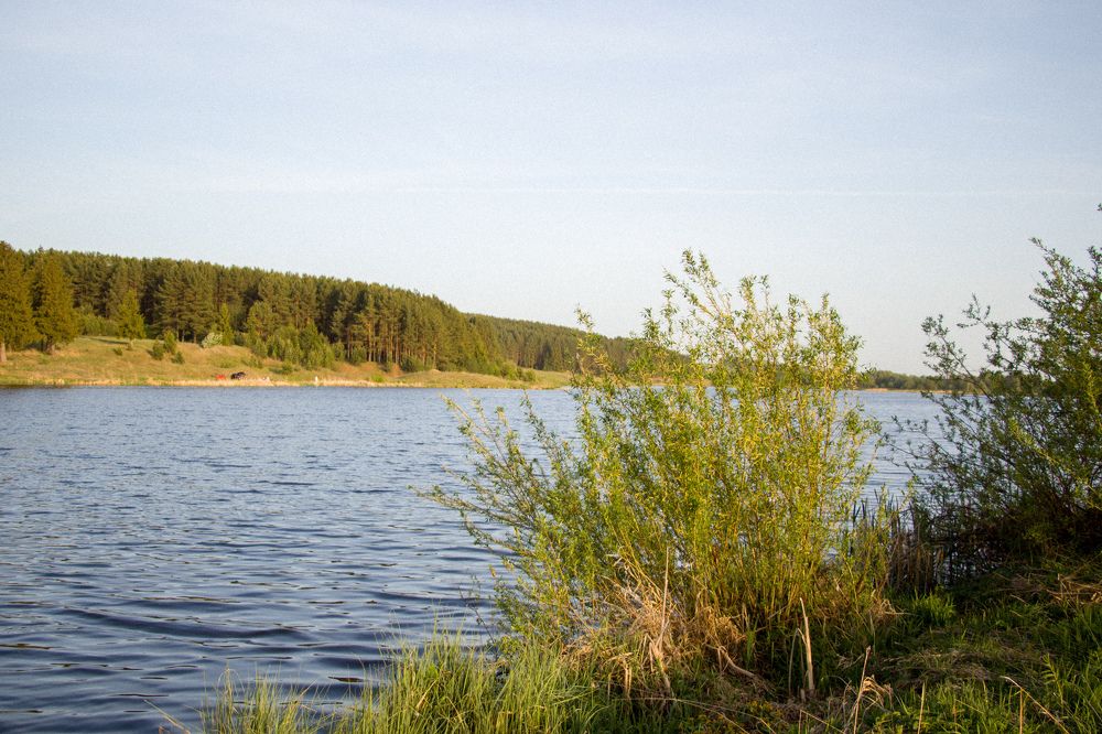 Photograph by Nikita Oshvintsev