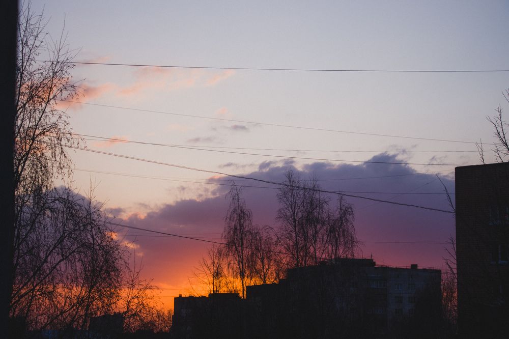 Photograph by Nikita Oshvintsev