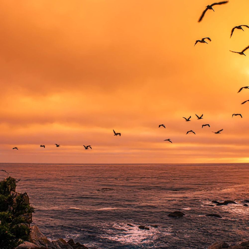 Photograph by Rehana Parveen