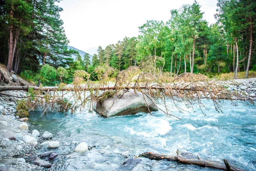 Photograph by Инна Толстореброва