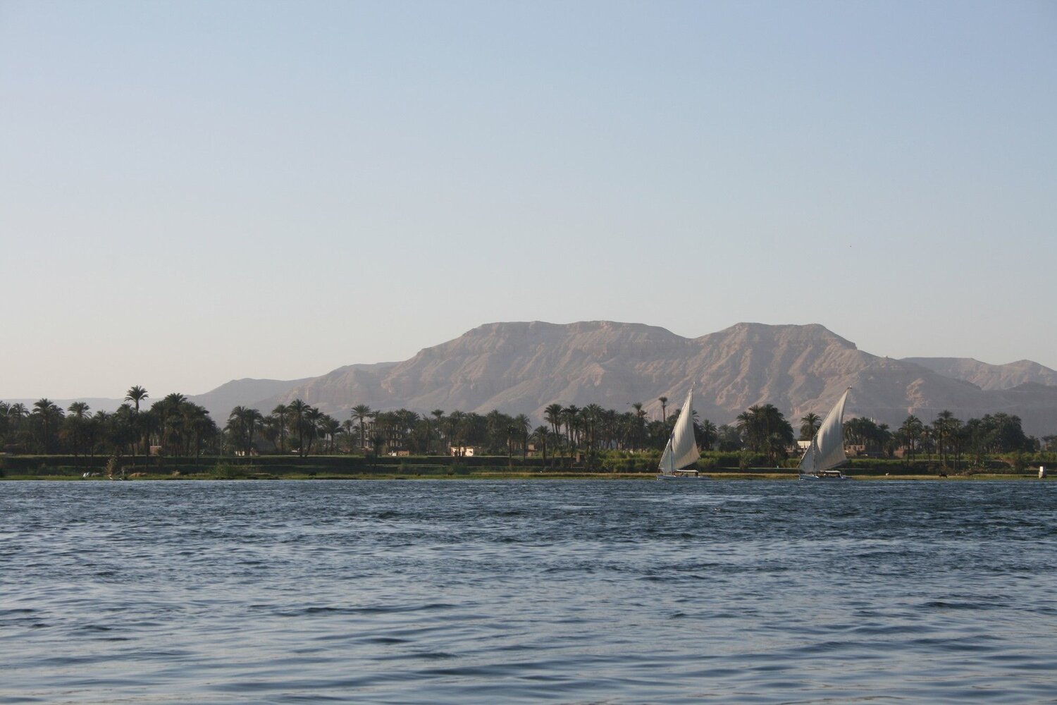 Photo #6297906