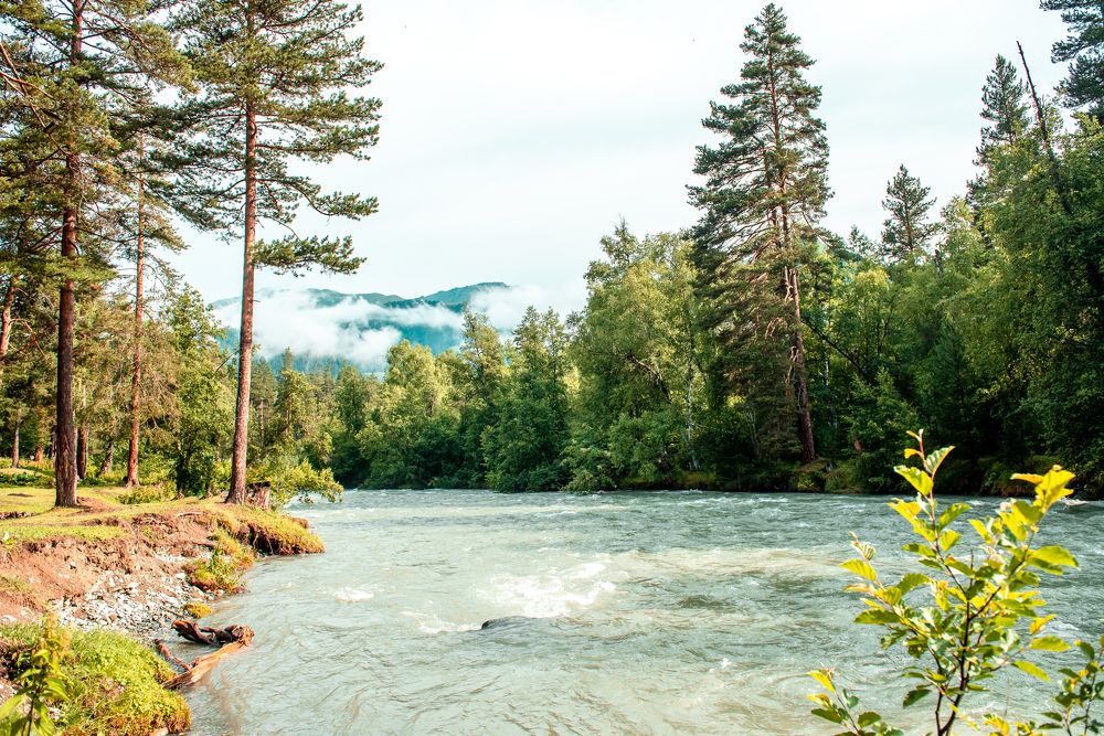 Photograph by Инна Толстореброва