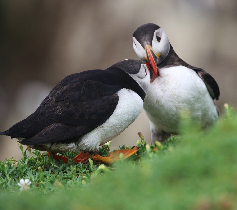 Photograph by Pauline Doran