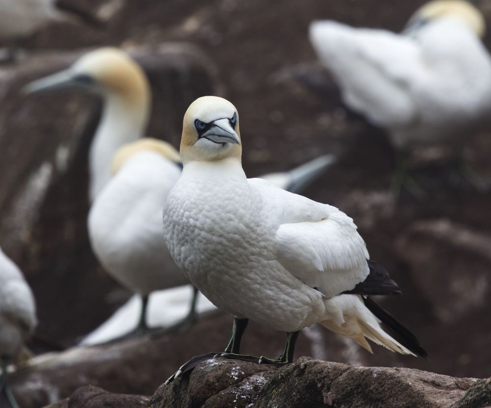 Photograph by Pauline Doran