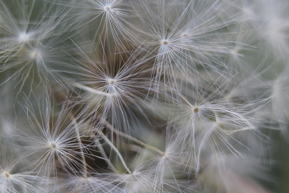 Photograph by Татьяна Фоевцева