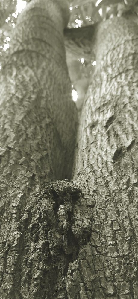 Фотография автора Arul prakash.A