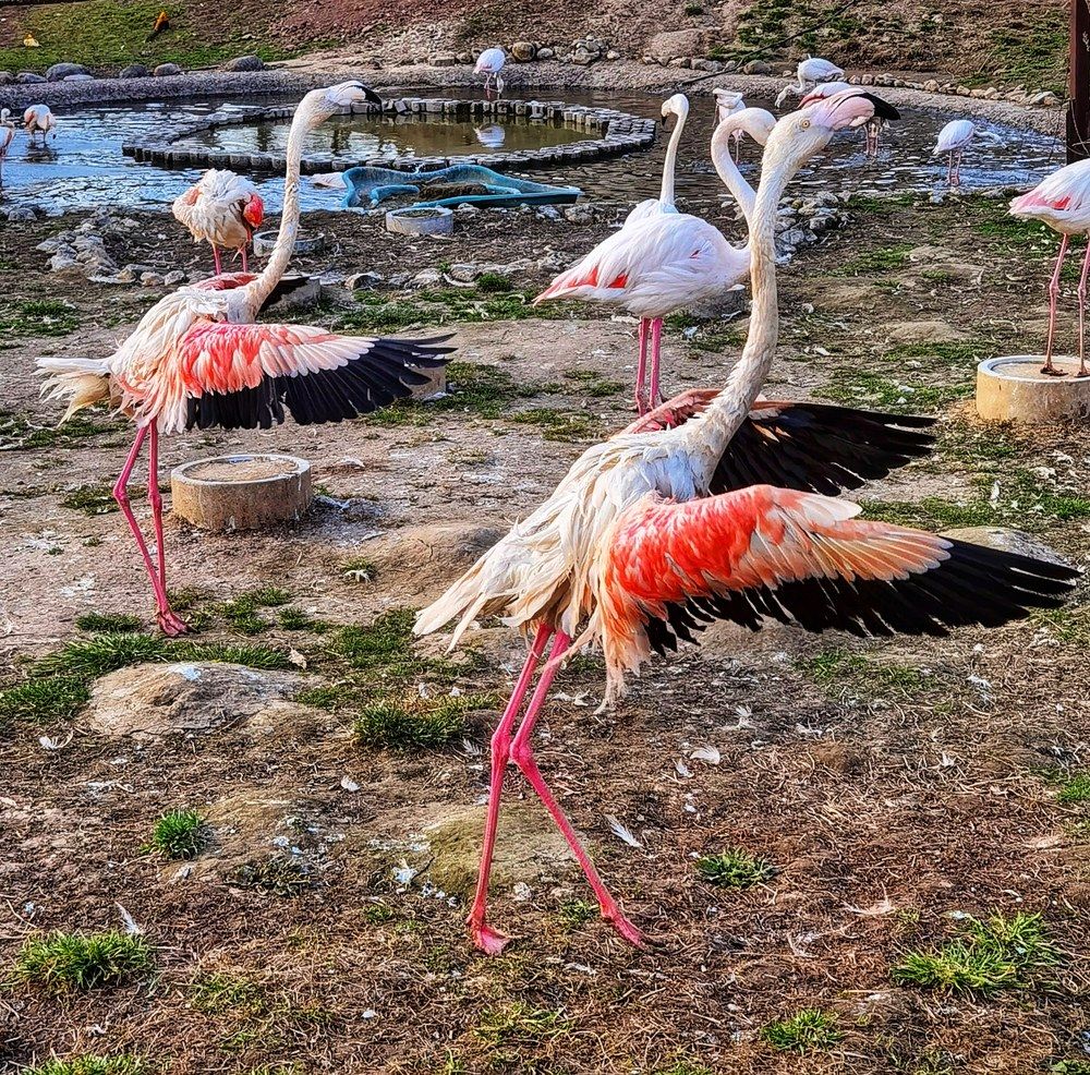 На зарядку!