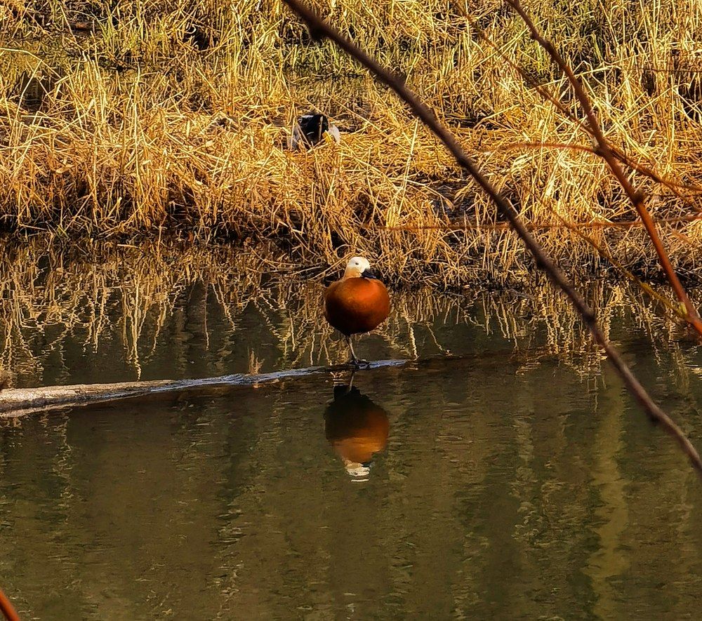 Photograph by Олика