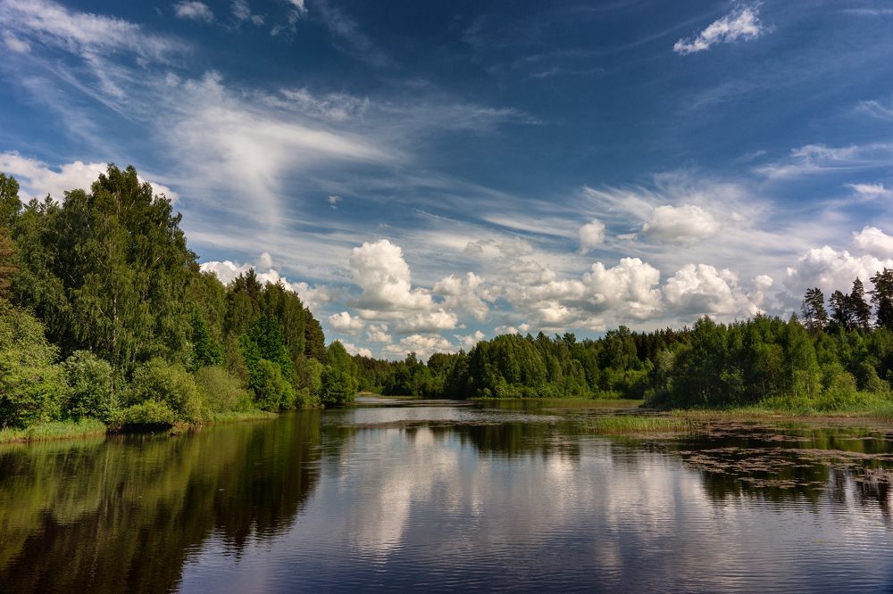 Photograph by Dace Spalviņa