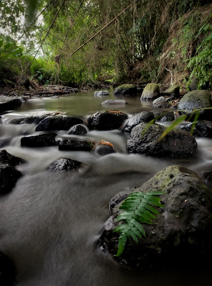 Photograph by Winda Octavianti Surjono