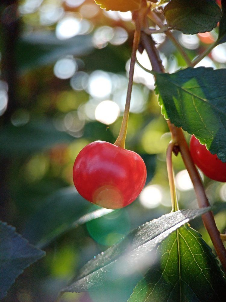 Photograph by Светлана Хамитова
