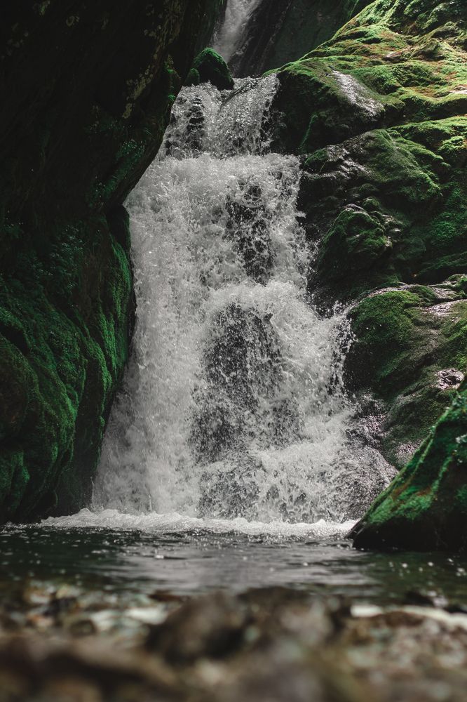 Photograph by Сергей Витвицкий