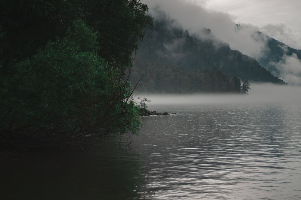 Photograph by Сергей Витвицкий