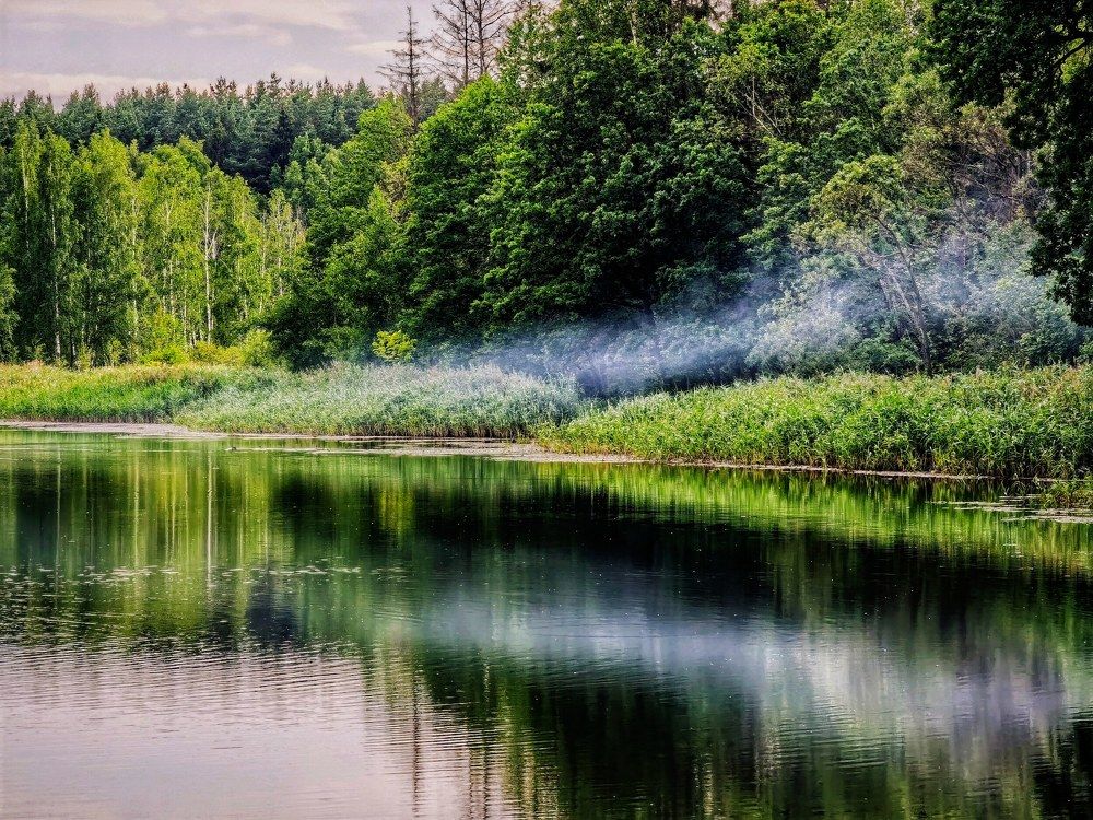 Photograph by Олика