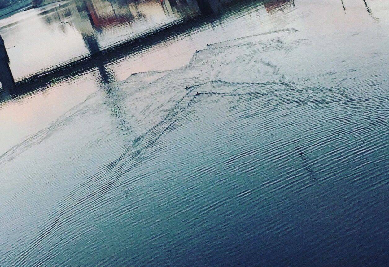 They float beautifully along the Moscow River.