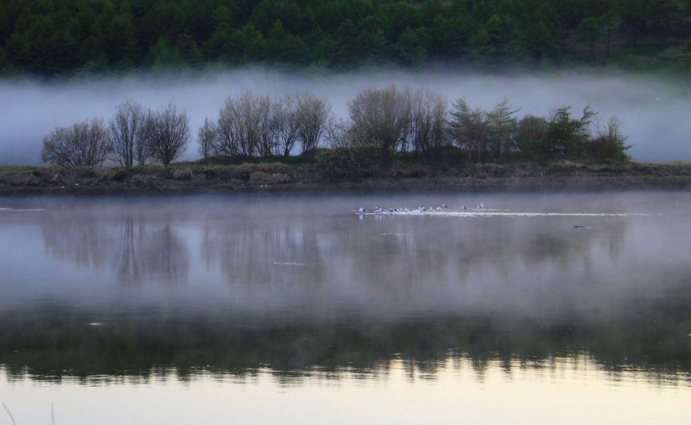 Туман в устье реки.