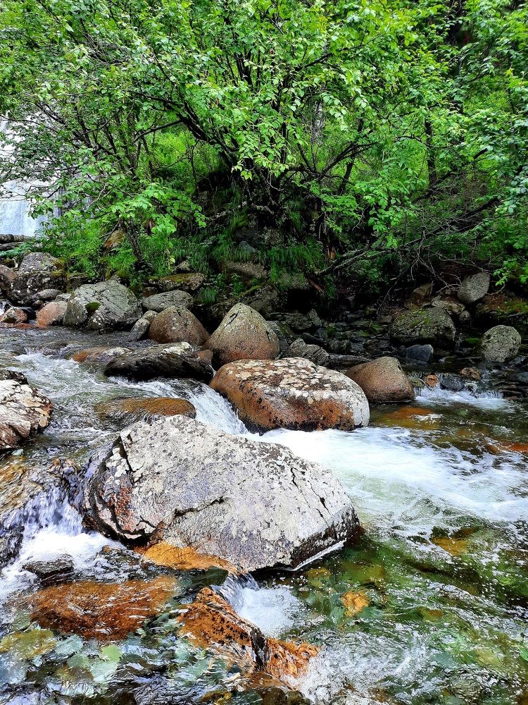 Photograph by Майя Витвицкая