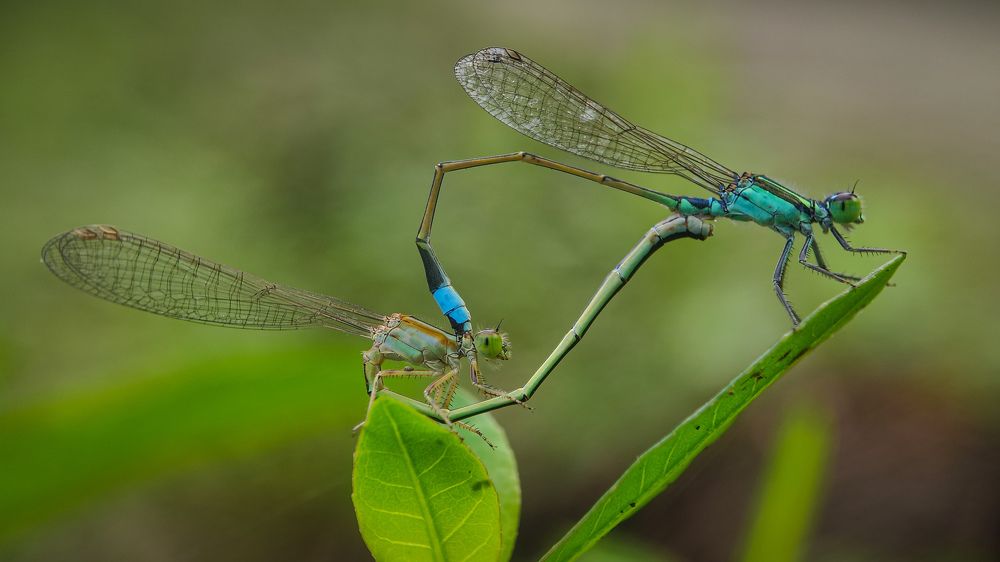 Photograph by Winda Octavianti Surjono