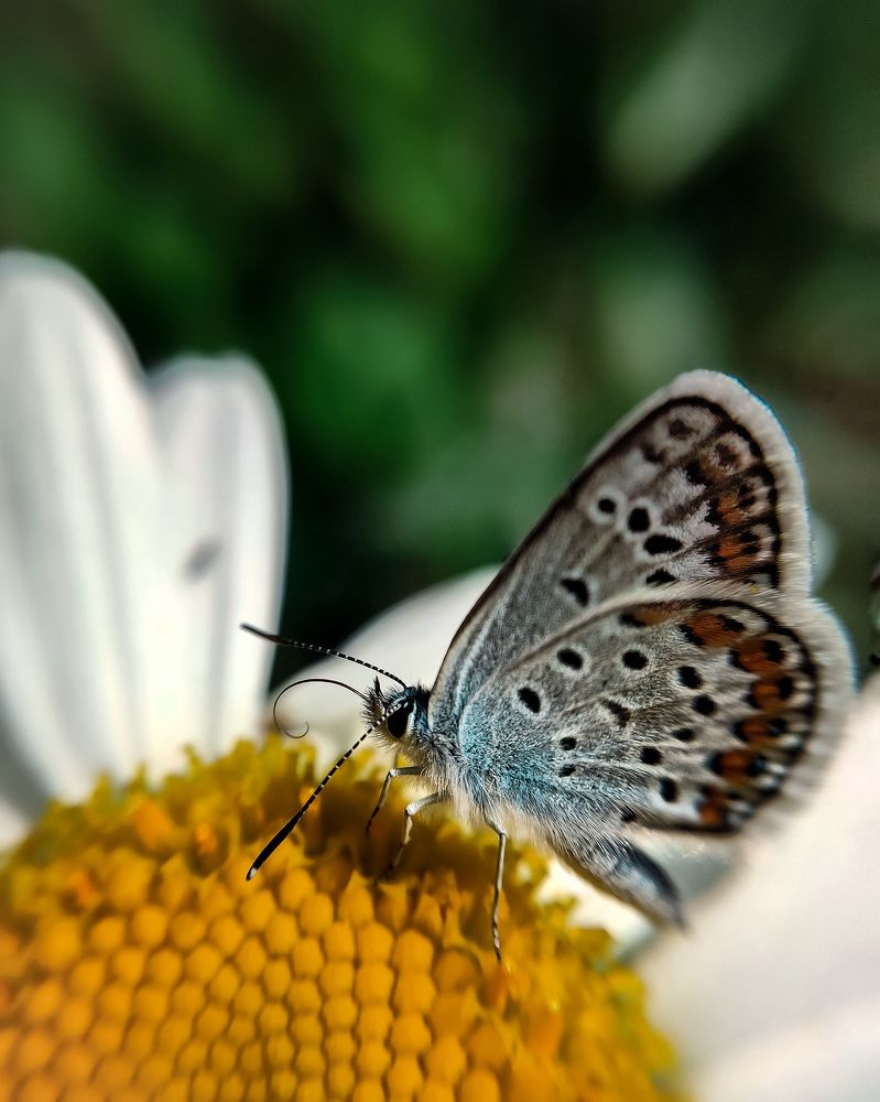 Photograph by Светлана Смирнова