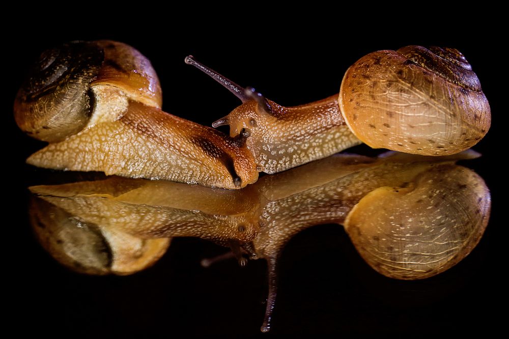 Photograph by Việt Hưng Bùi